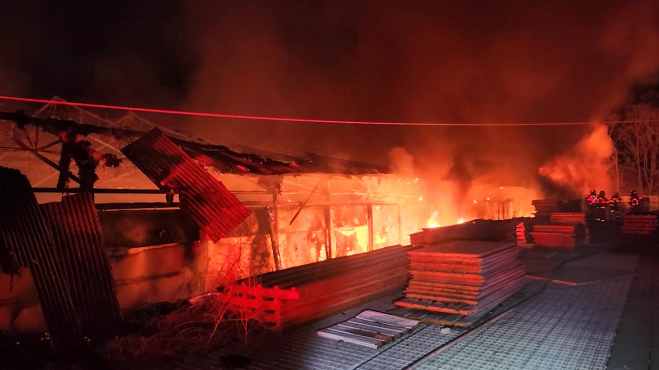 경기 연천 돼지농장에서 불‥돼지 1400마리 폐사