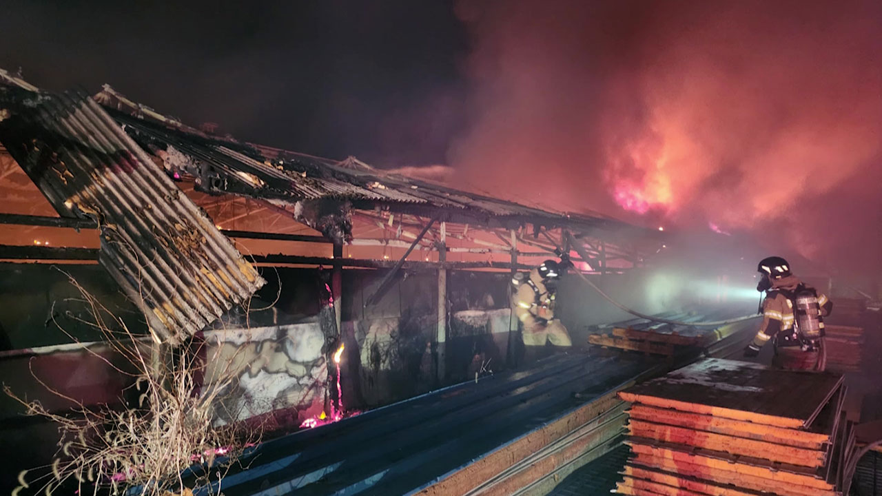 경기 연천 돼지농장에서 불‥돼지 1400마리 폐사