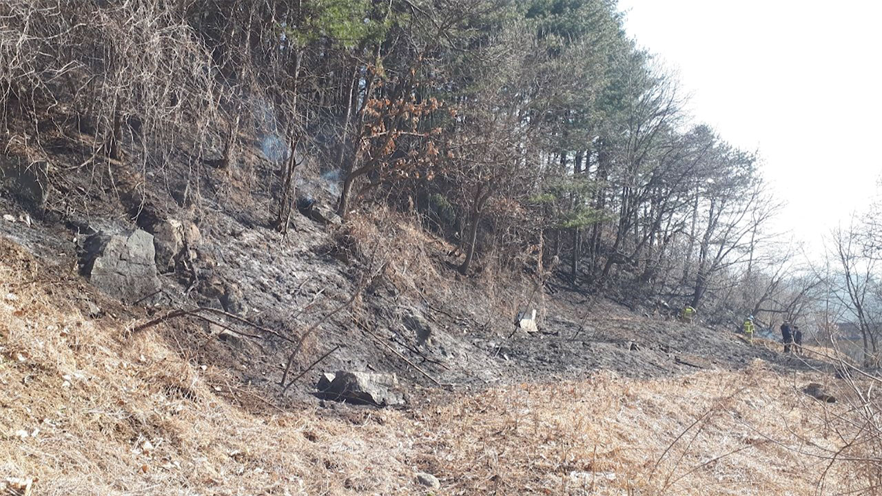 경기 가평 야산서 불‥1시간 만에 진화
