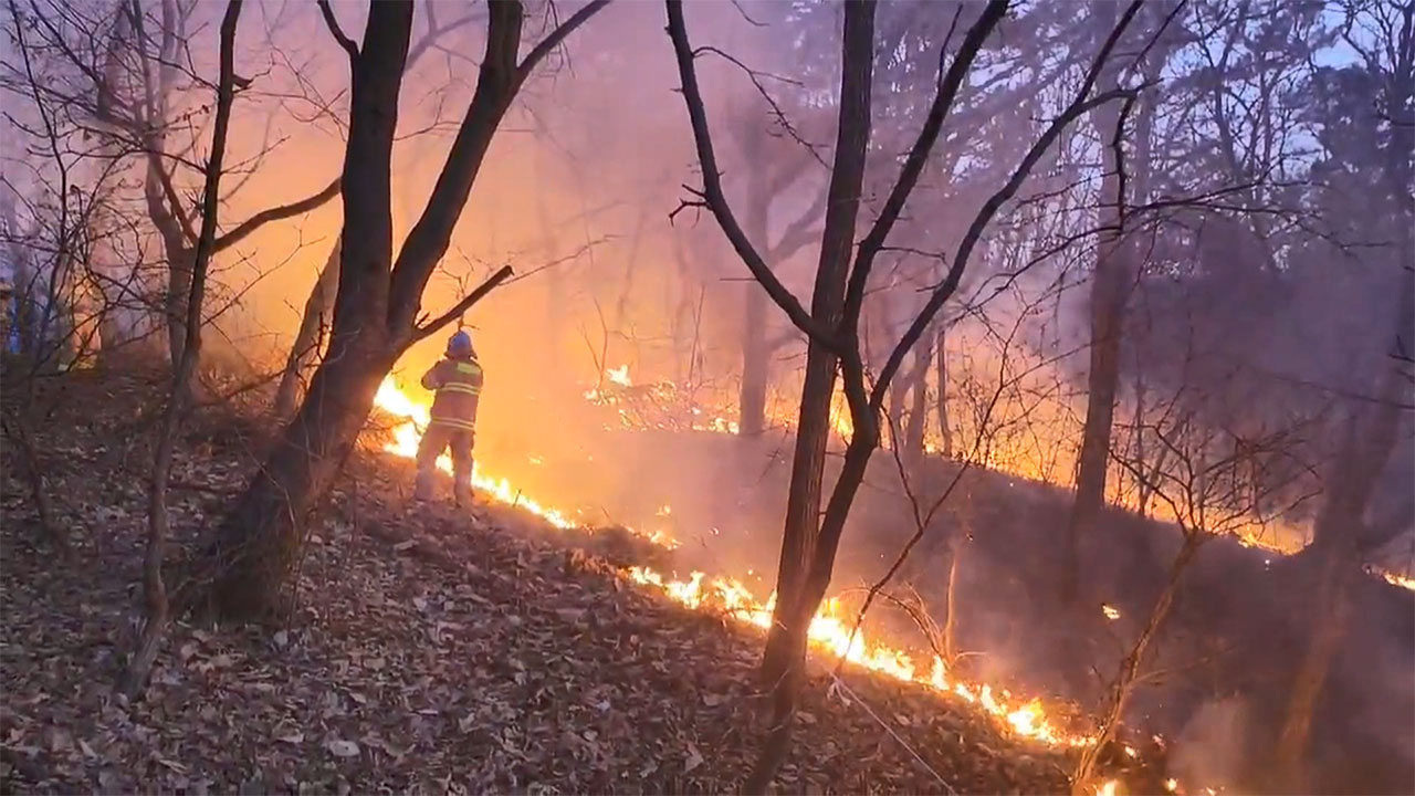 인천 서구 왕길동 야산 화재‥30분 만에 진압