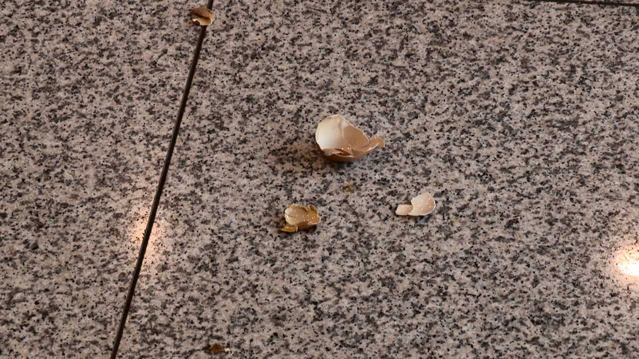 'MLB 개막전' 입국하는 LA 다저스 선수단에게 계란 던진 20대 검거