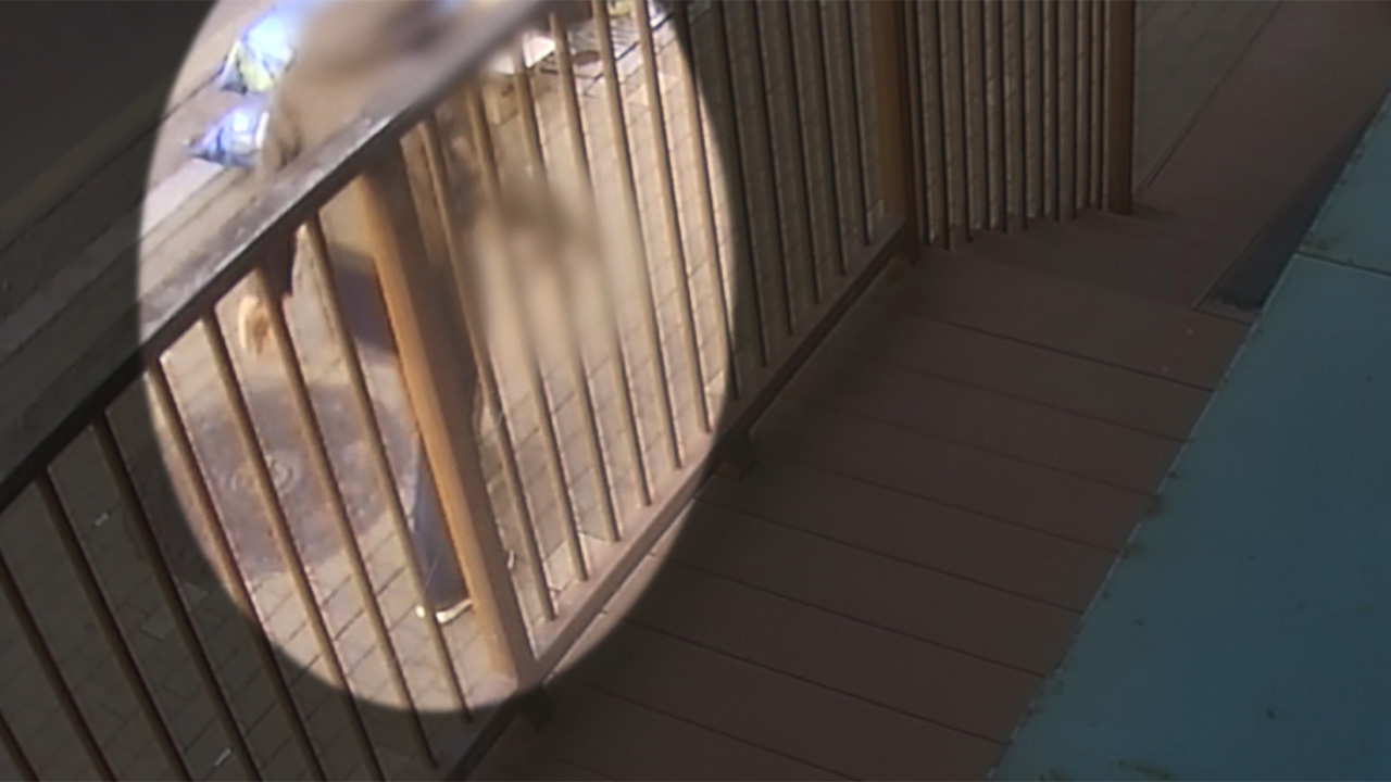 전처 살해·아파트 경비원 살인미수 혐의 70대 남성 구속