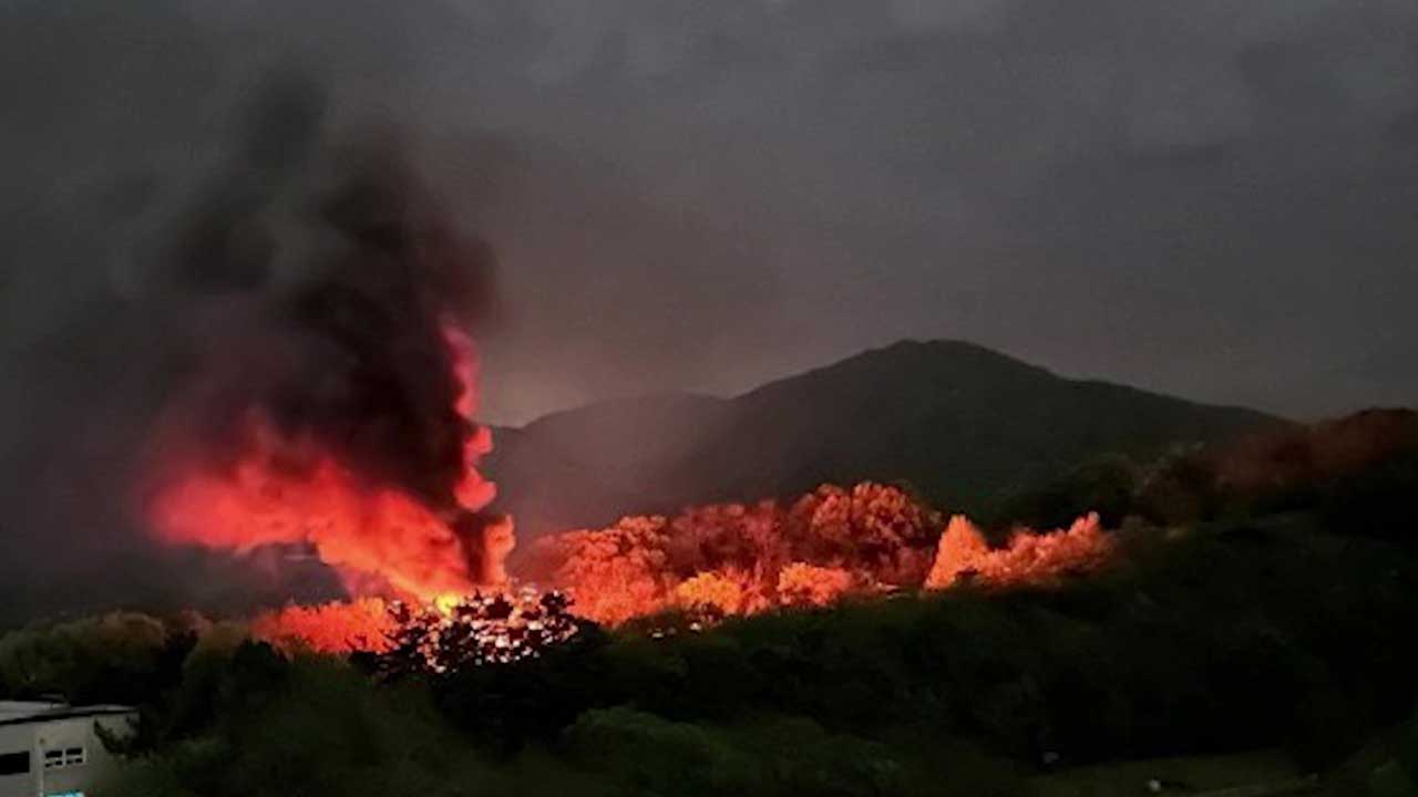 경북 김천 야산서 불‥50여 분만에 완진