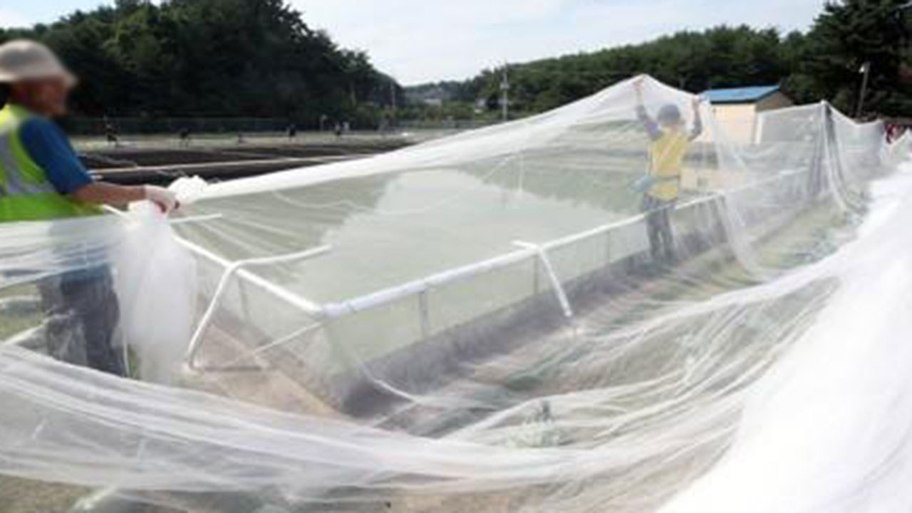 경기 이천정수장서 깔따구 유충 발견‥"수돗물 마시지 말고, 음용시 끓여야"