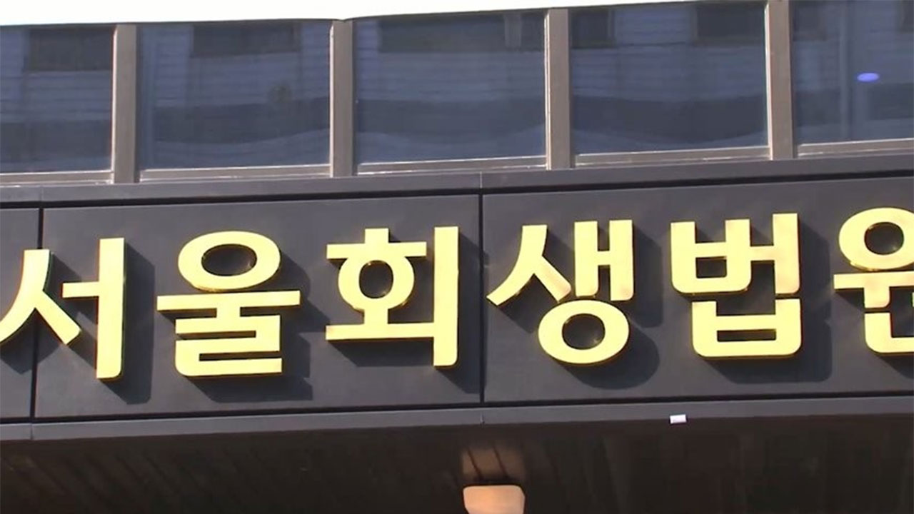 법원, 부결된 HN Inc 회생계획안 강제 인가‥SM그룹에 인수