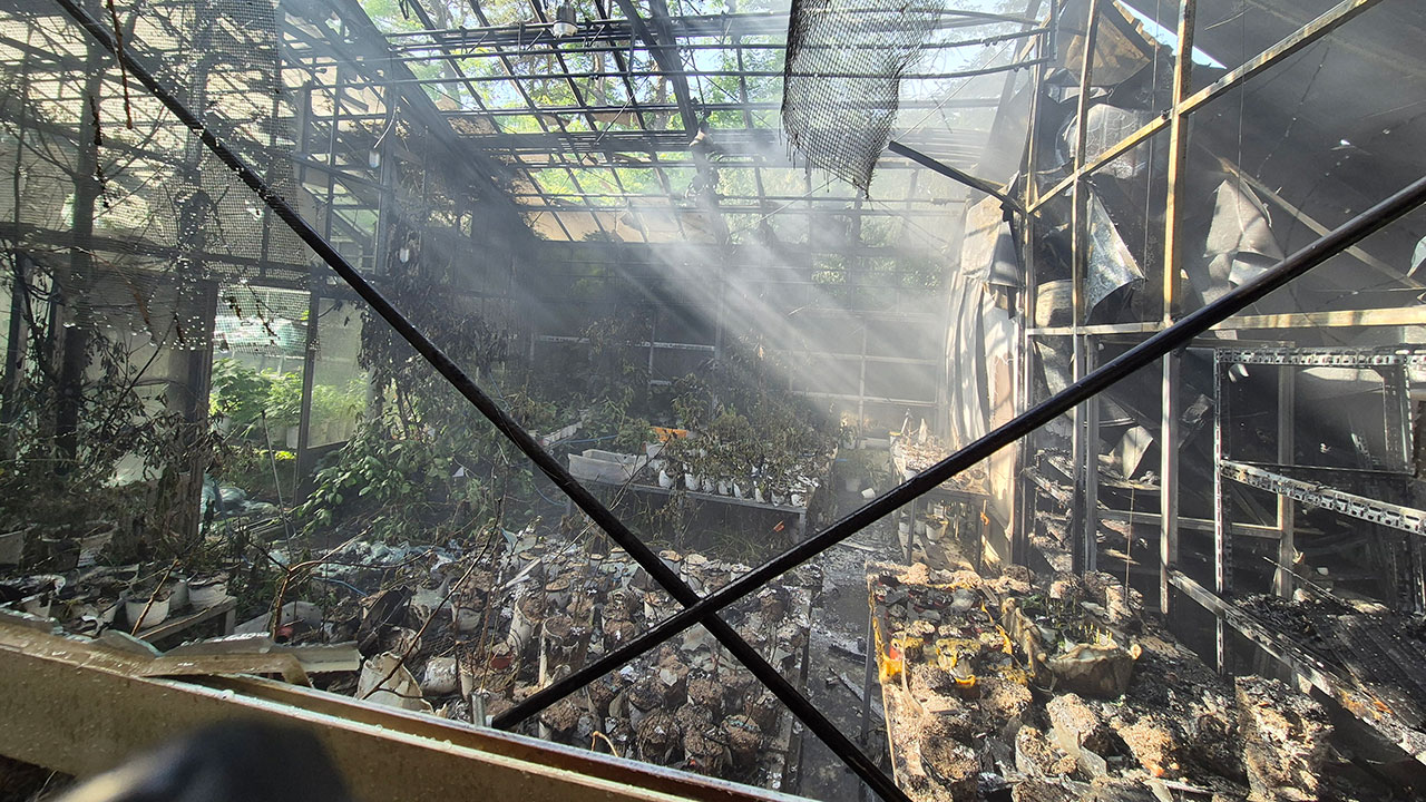 공주대 유리온실에서 불‥인명 피해 없어