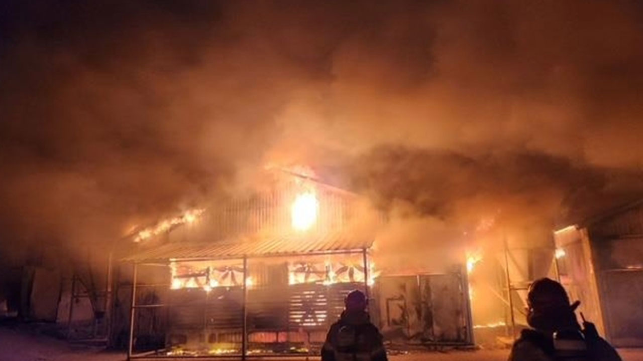 경남 합천 양계장서 불‥ 닭 1만6천여마리 폐사