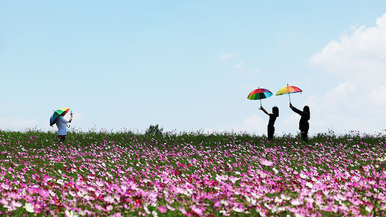 [날씨] 전국 가끔 구름 많다가 오후부터 흐려져‥ 강원·전북 등 비