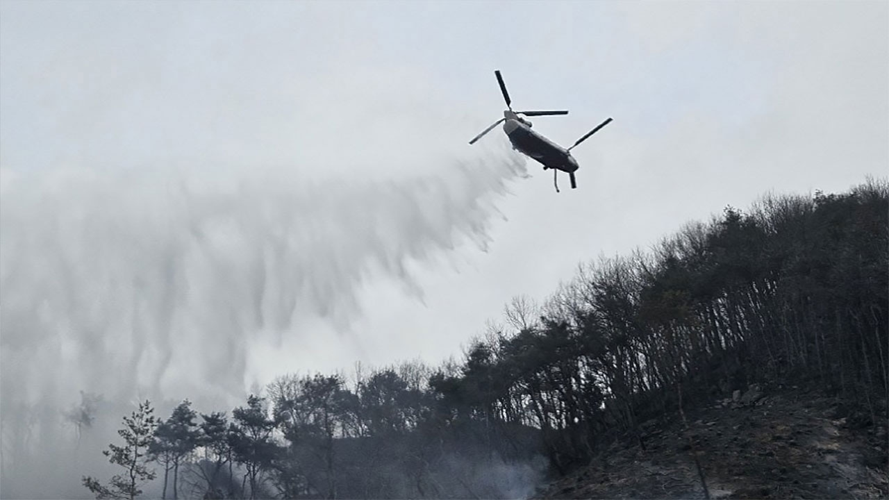 충남 서산 지곡면서 산불‥1시간 24분 만에 완진