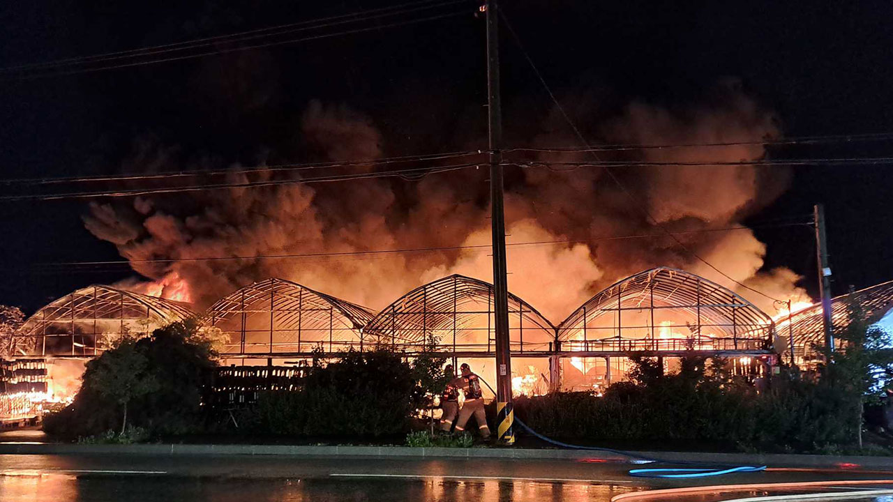 강릉 꽃 재배 비닐하우스서 불‥1명 사망