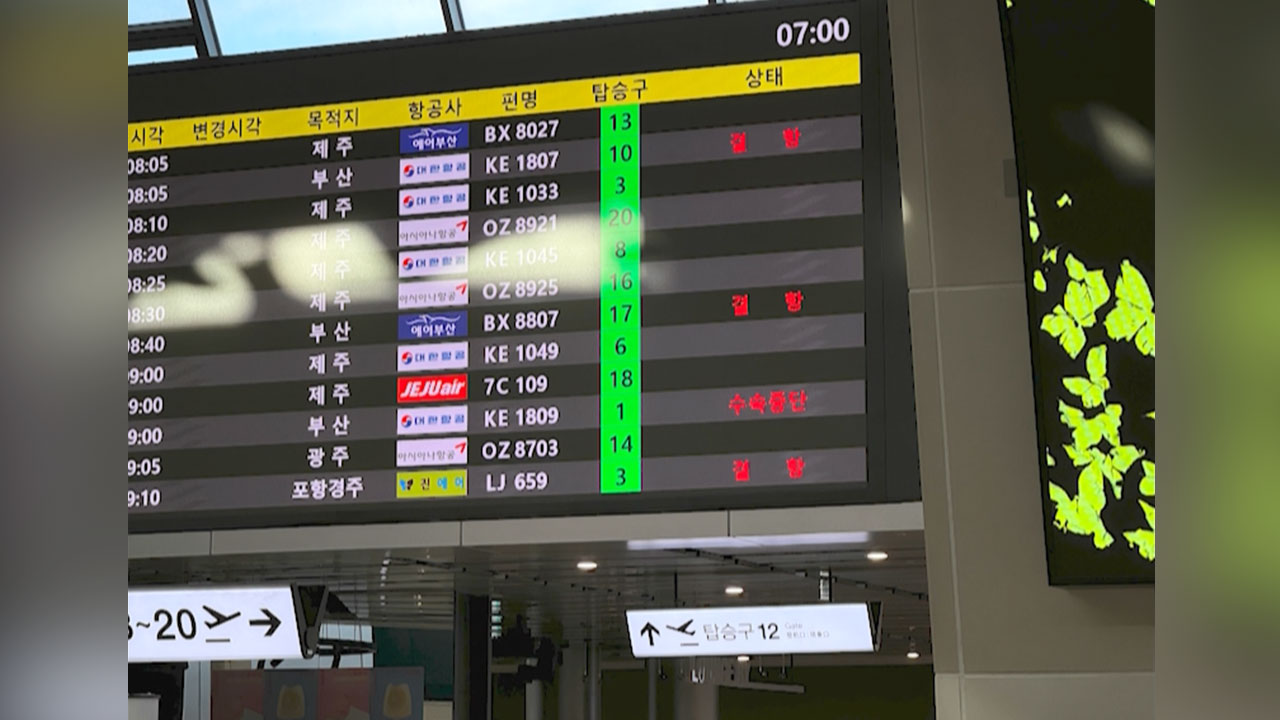 오전 9시 기준 국내항공편 25편 결항‥"집중호우로 안전 고려"
