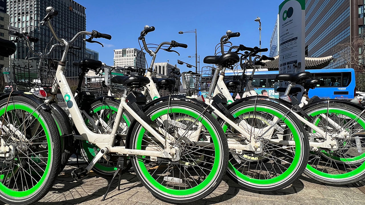 '따릉이 폭주족 모임', 서울 한복판 폭주 예고에 경찰 "엄정 단속"