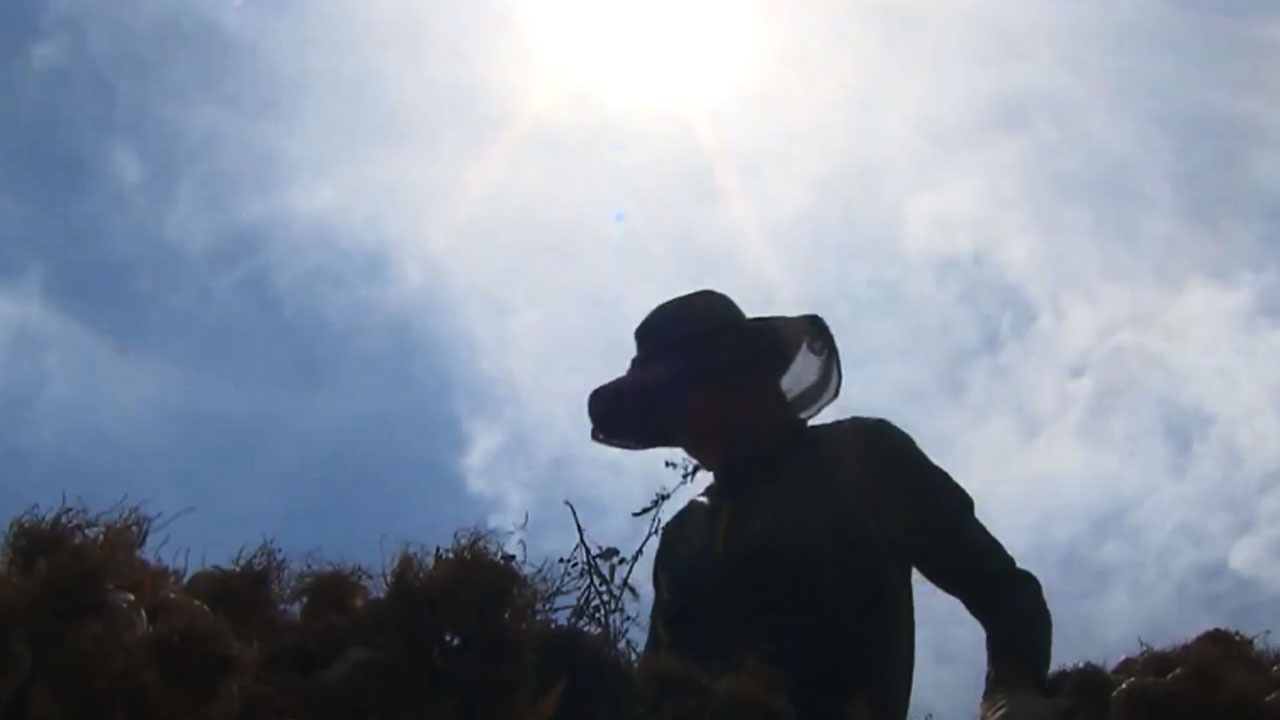 전남 순천서 밭일하던 90대 노인 숨져온열질환 추정