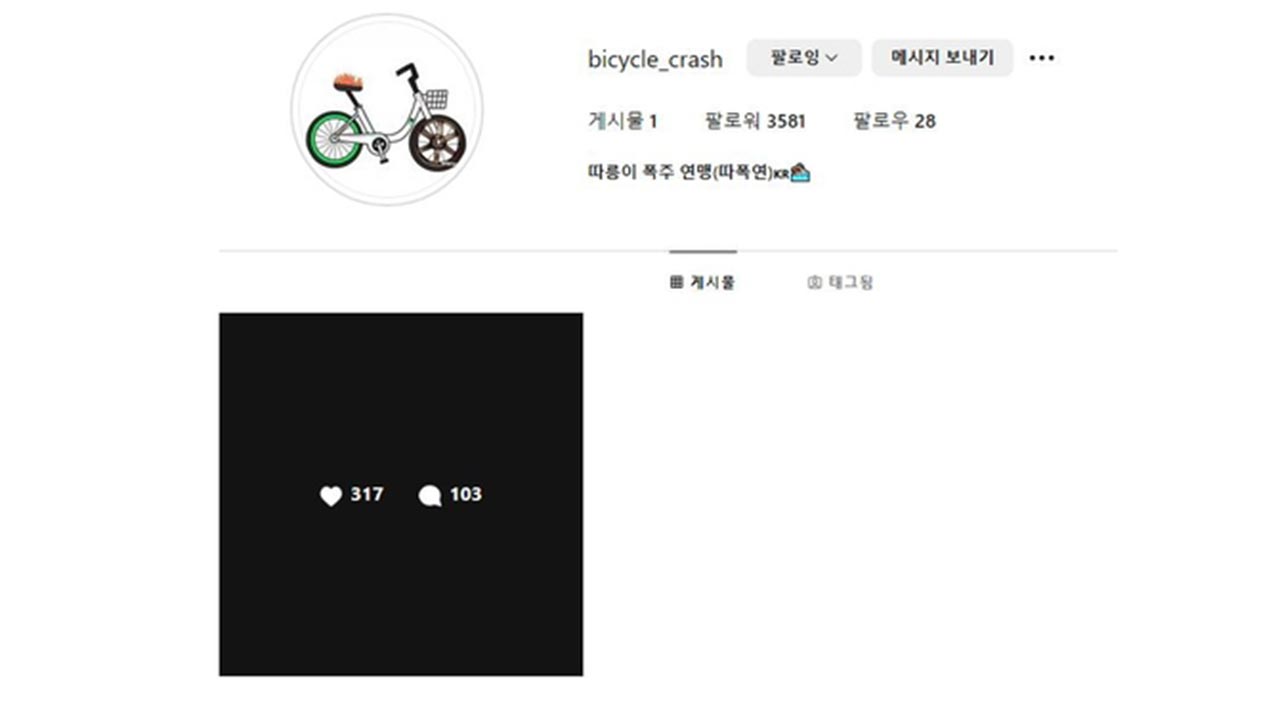 경찰, '따릉이 폭주족 연맹' SNS 운영자 고교생 검거