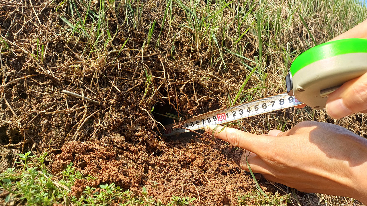 법원, 문화유산 선릉 훼손한 50대 구속영장 기각