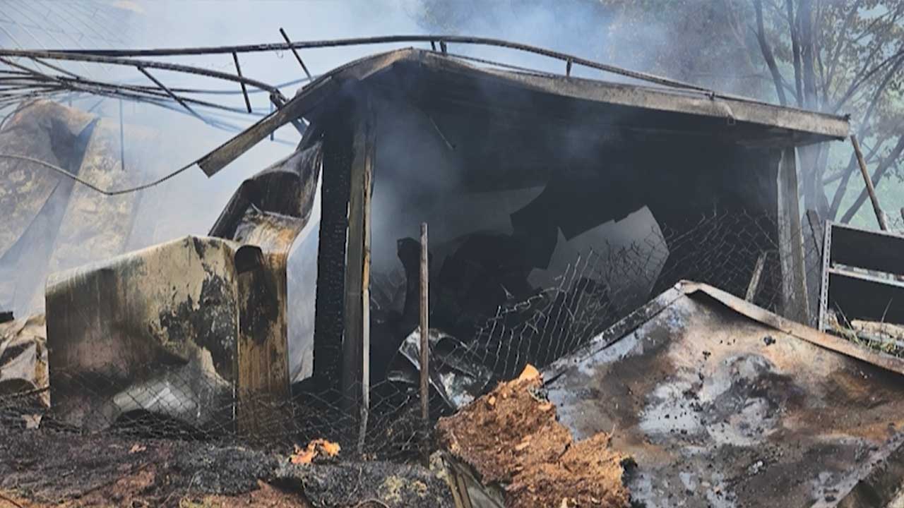 경기 남양주 유기견 보호소에서 불‥포획 중