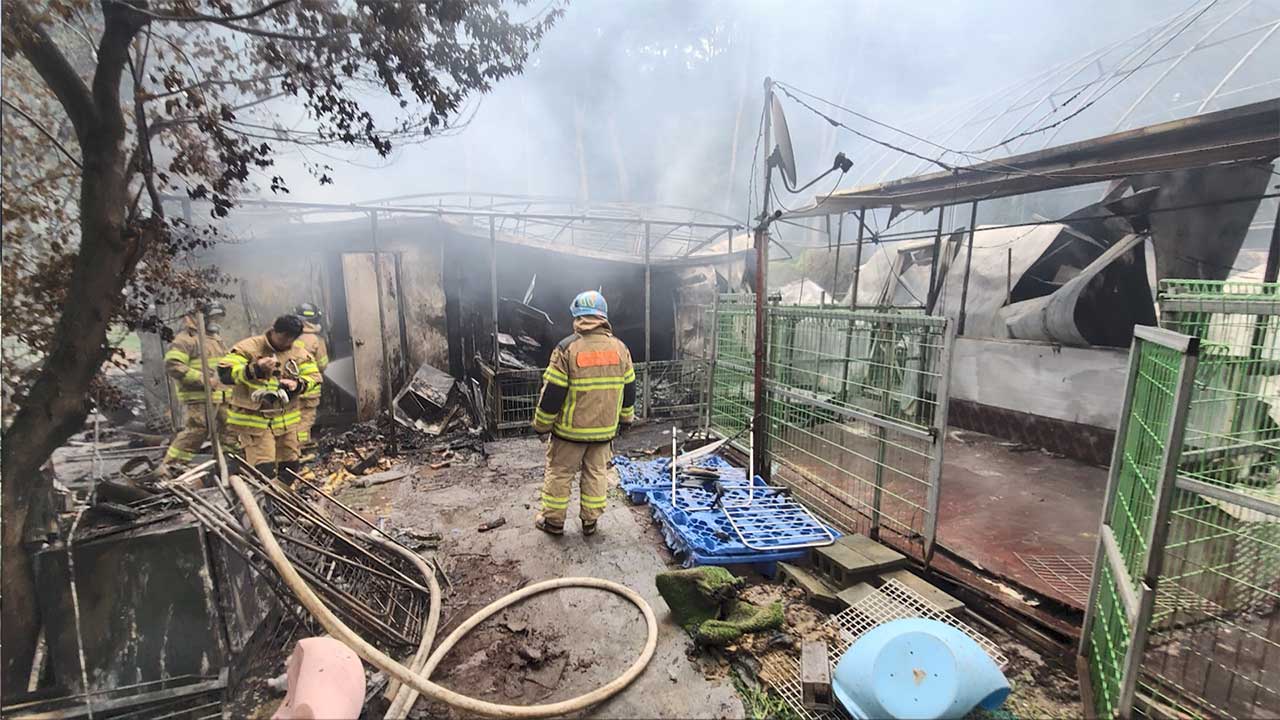 경기 남양주 유기견 보호소에서 불‥포획 중