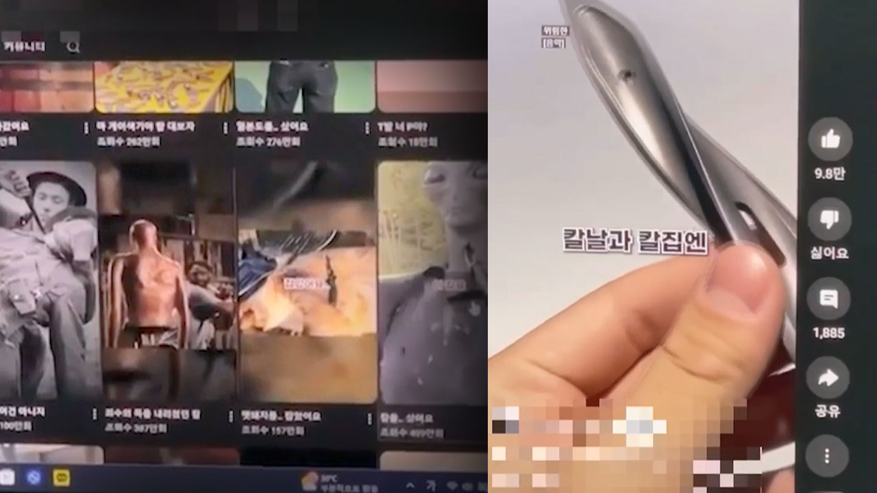 온라인서 무허가 도검 판매한 업체 '구독자 11만' 운영자 검거