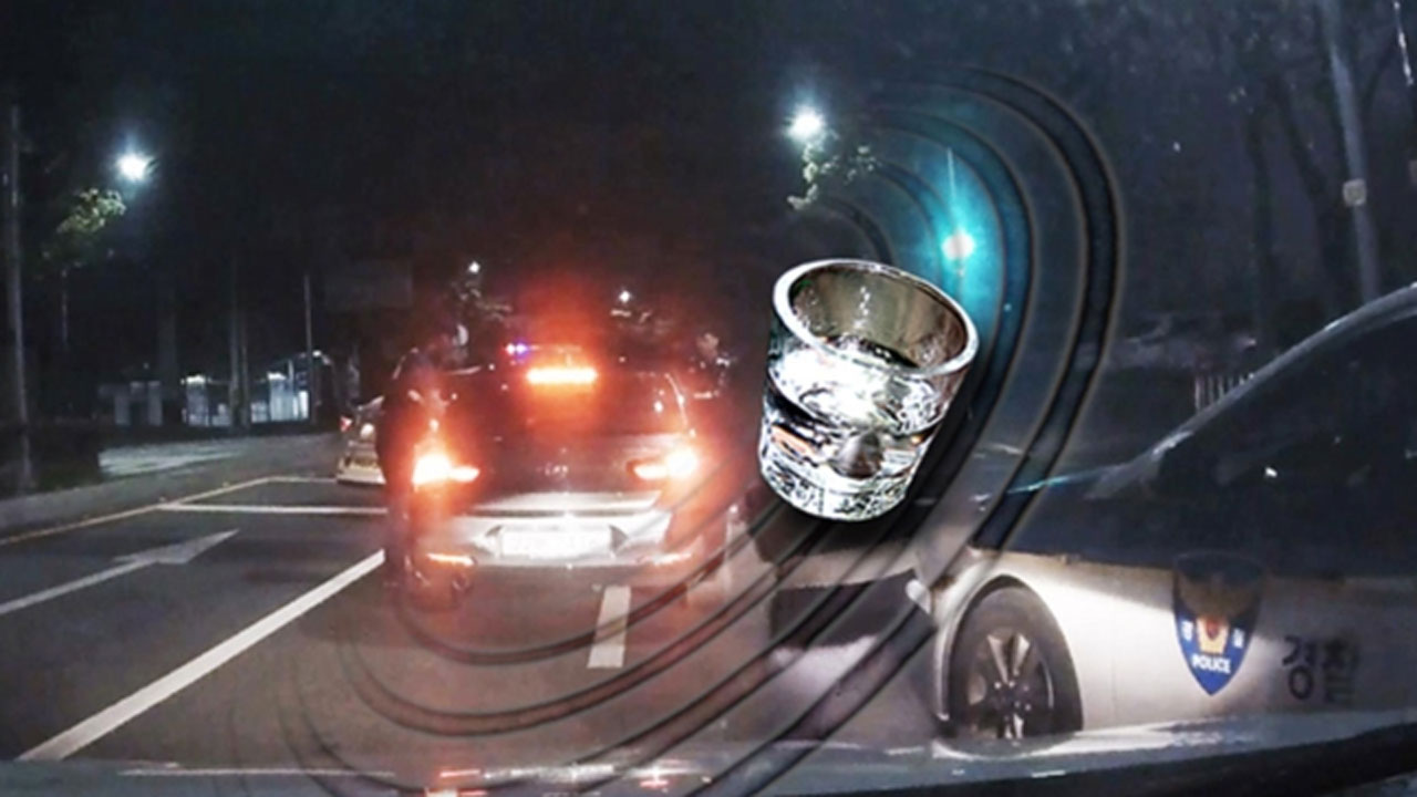 차량 4대 들이받고 경찰 폭행까지 한 혐의 20대 남성 구속