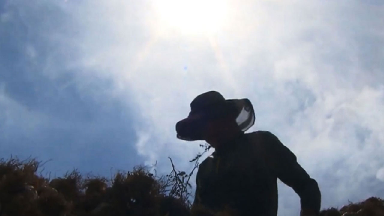 늦더위에 주말 새 온열질환자 39명 발생‥누적 3천 418명