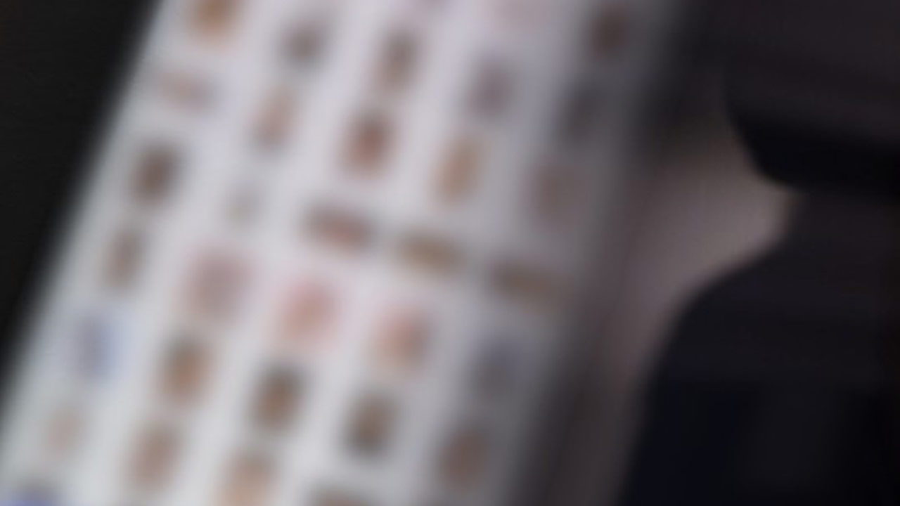 경찰, 성착취 허위영상물 텔레그램방 운영자 구속 송치‥피해자 24명 미성년자도 포함