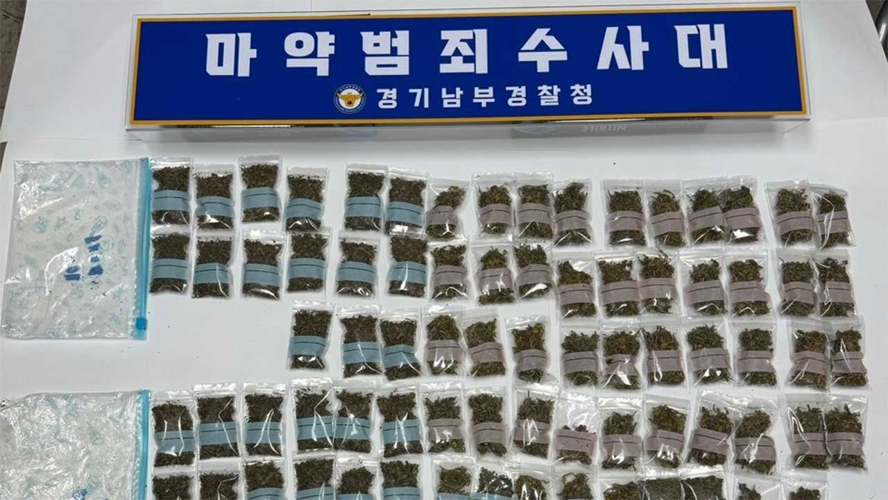 대학가 원룸에서 대마 제조‥마약 판매·투약한 외국인 125명 붙잡혀