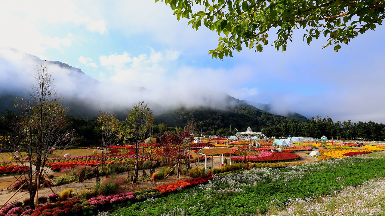 [날씨] 오전까지 내륙에 짙은 안개‥"교통안전 각별히 유의"