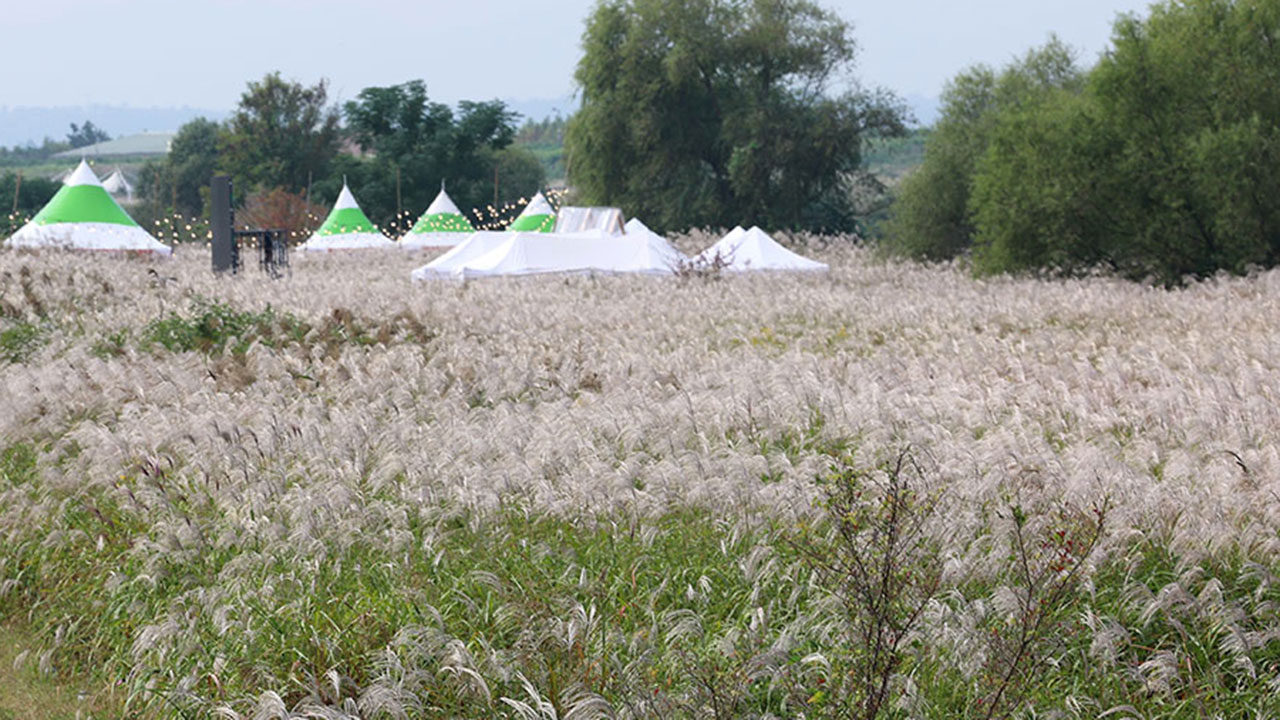 [날씨] 강원북부산지 한파특보‥찬 공기에 전국 강한 바람