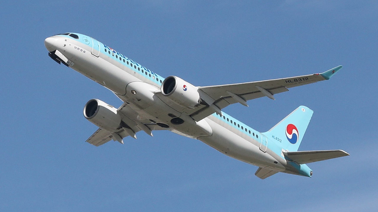 베트남서 인천행 바카라 토토 결항‥"조류 충돌로 기체 결함"