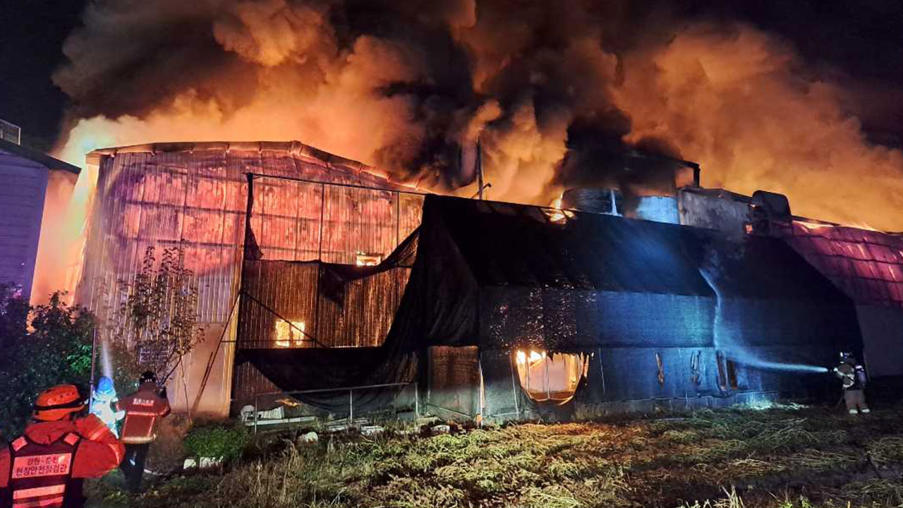 강원 춘천 양계장 화재‥9명 대피·닭 17만 마리 폐사