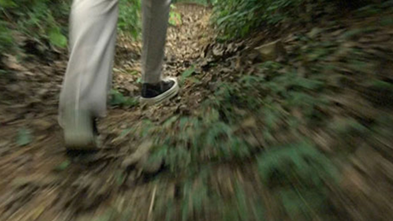 "사슴뿔에 다리를 다쳤다"‥경기 수원 산책로서 60대 여성 중상