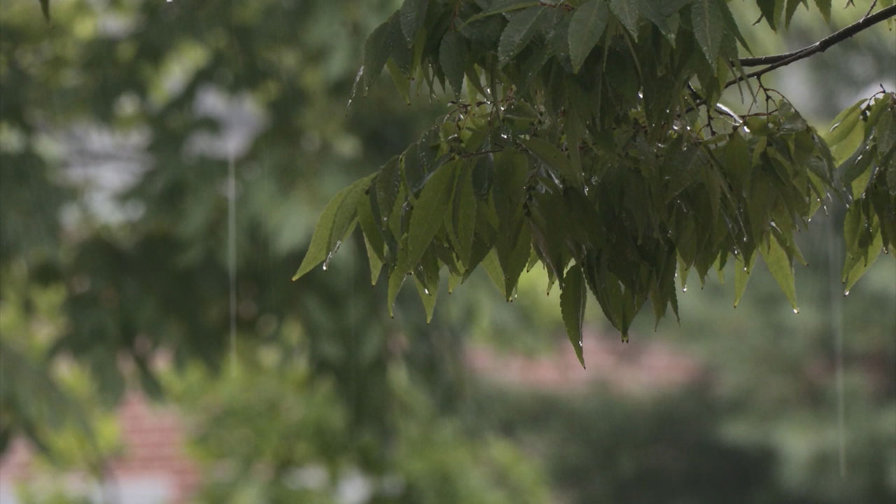 기상청 "지난달, 역대 10월 중 비 제일 잦았고 기온도 2위‥단풍도 늦어"