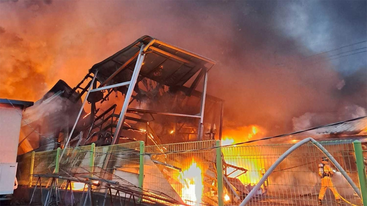 강릉 주문진 명태 가공 공장서 불인명 피해 없어