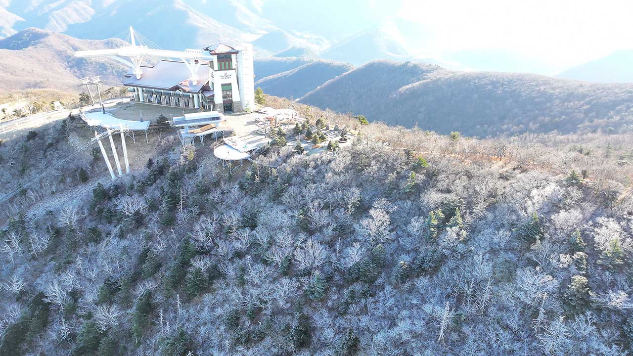 폭설 내린 대관령 산속 밤 산행하다 고립된 10대 구출