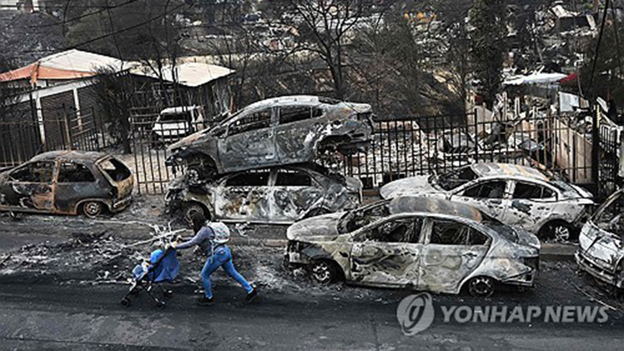 137명 사망자 낸 칠레 산불 "소방대원·산림공단 직원 방화 탓"