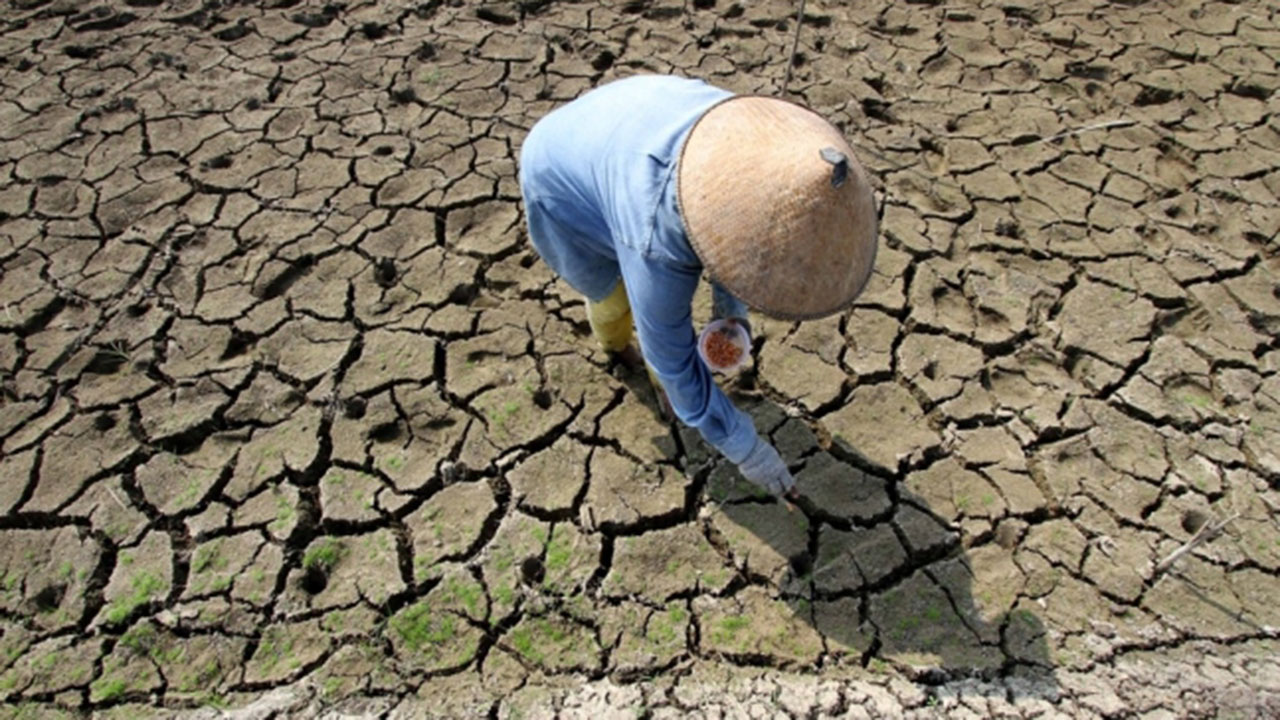 5월 세계 기온 또 최고‥12개월 연속 '가장 더운 달'