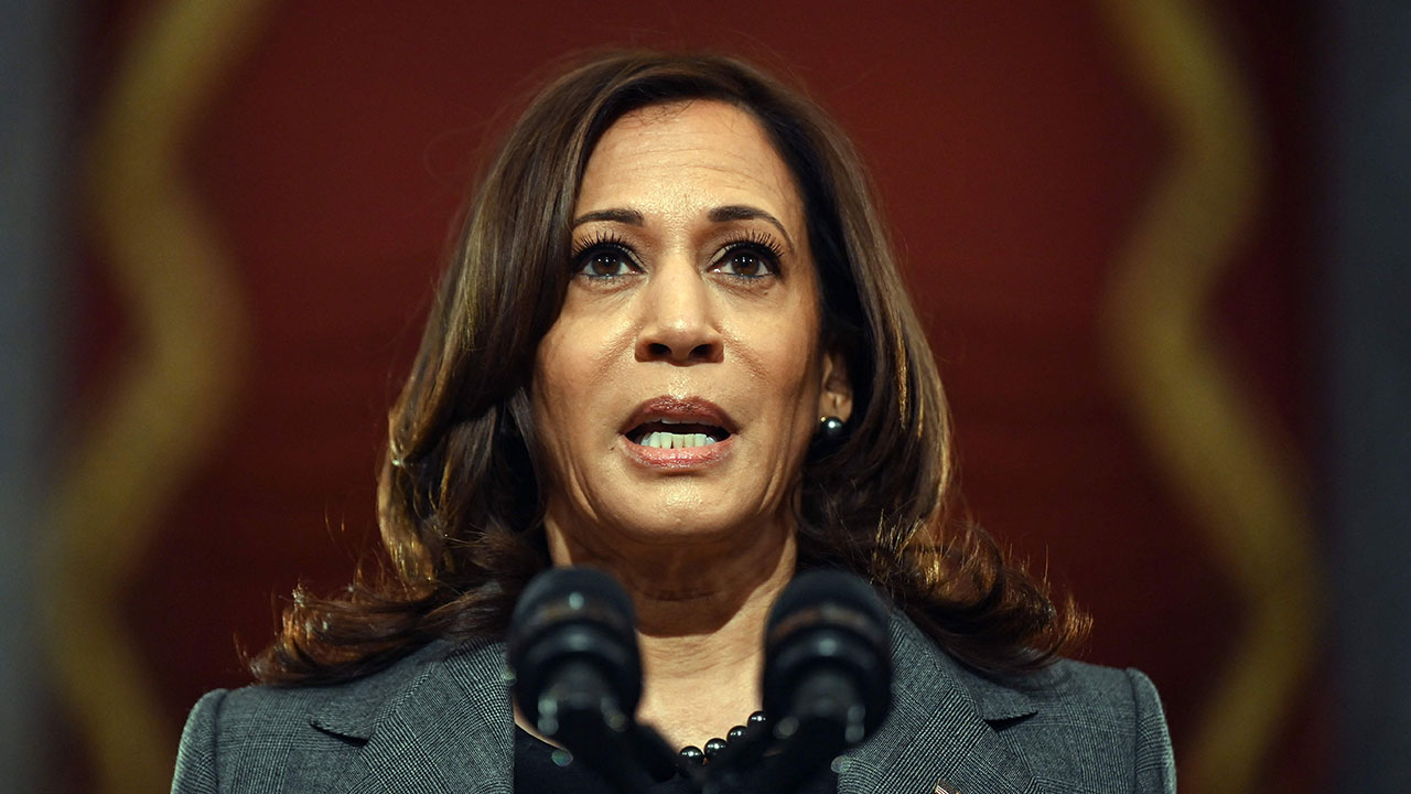 해리스 미국 부통령 "민주당 단결시켜 대선 승리하겠다"