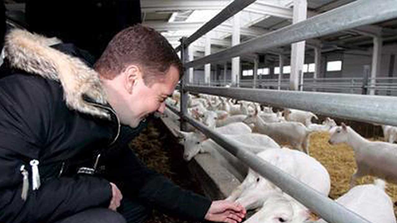 포탄 제공 대가?‥"러시아, 북한에 염소 447마리 선물"