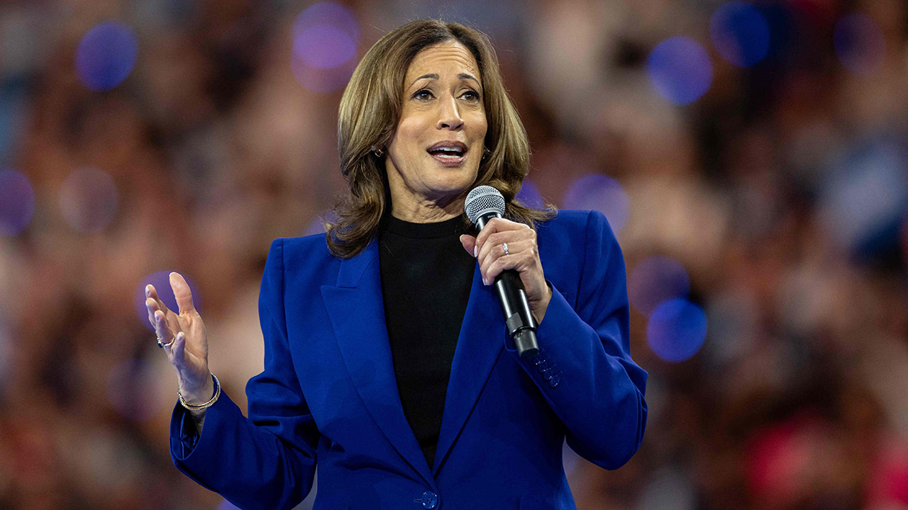 미국 민주당, 해리스 대선 후보 공식 추인‥22일 수락 연설