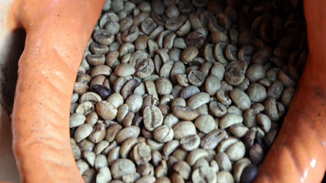 '세계 2위 커피 생산국' 베트남, 태풍 피해에 원두값 강세