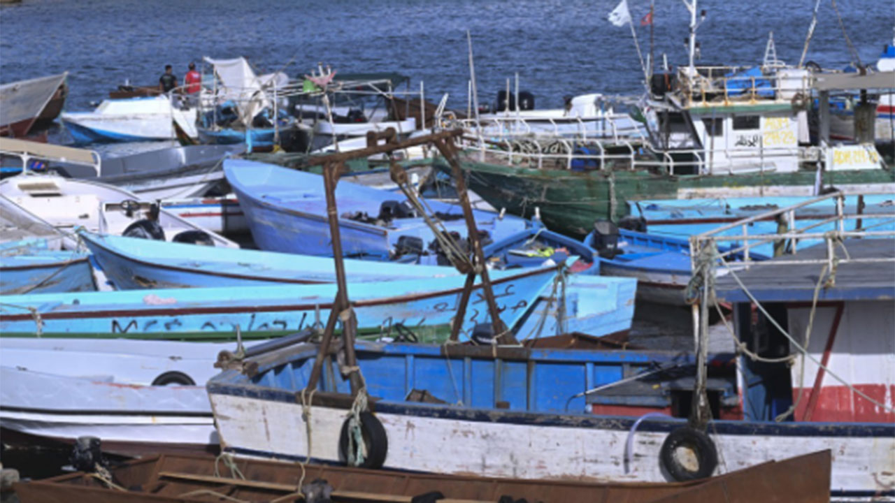 올해 난민 유입, 독일 대폭 줄고 이탈리아·그리스는 증가