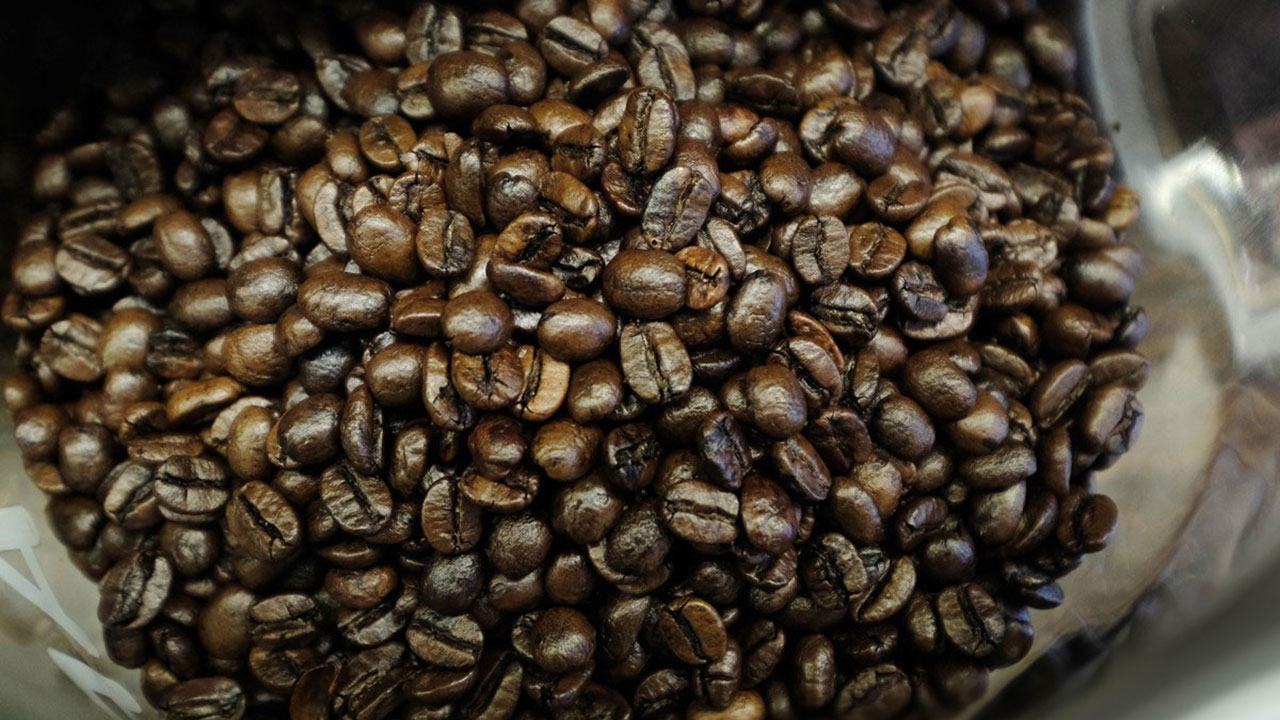 커피원두 가격 47년만에 최고…브라질 가뭄 등이 원인 