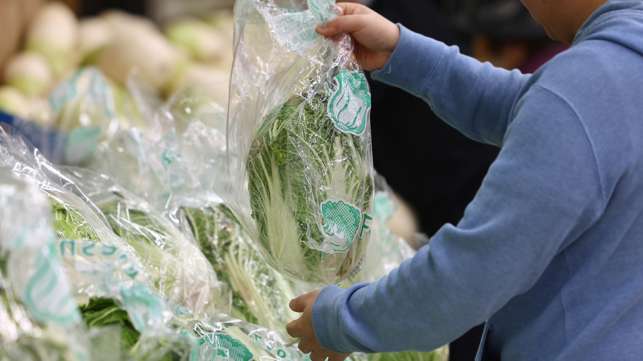 "5월 농산물값 안정세‥배추 32% 내리고 대파 42% 하락"