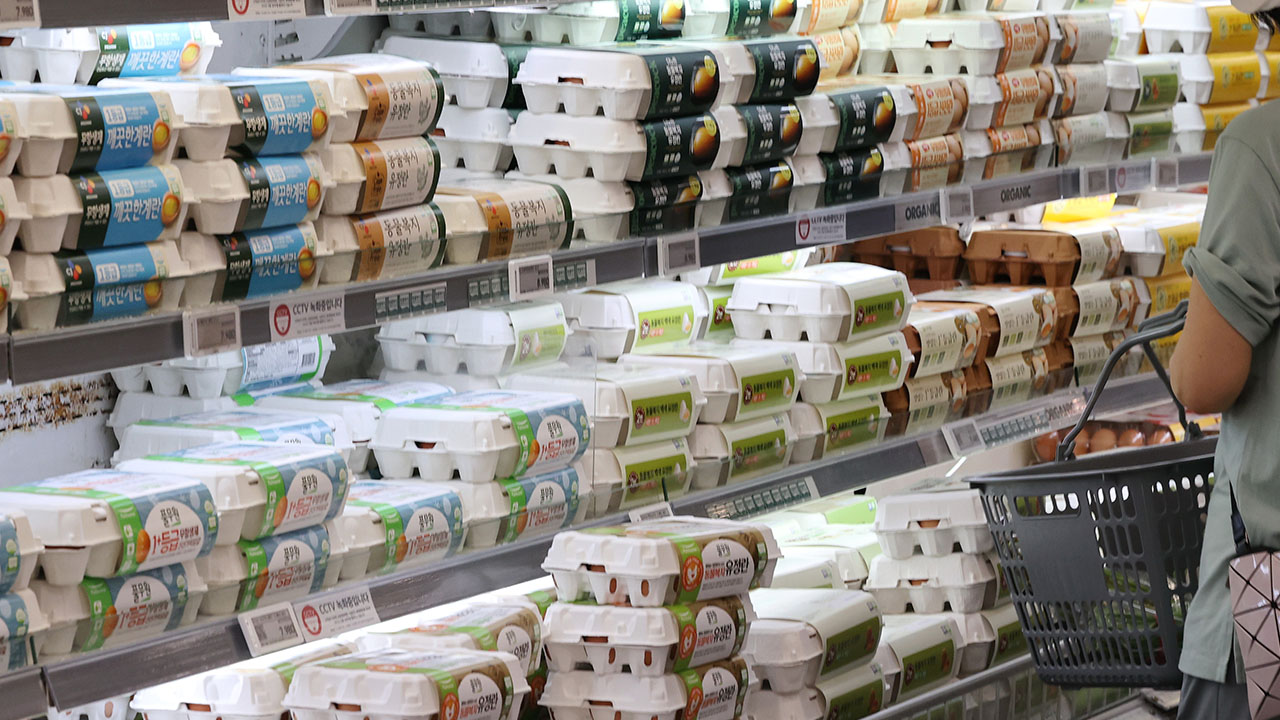 계란값 4년 만에 최고‥농경연 "가격 강세 이어진다"