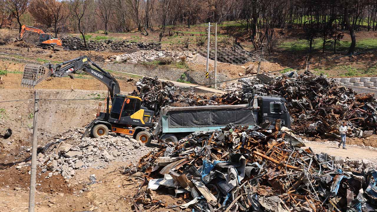 '산불 피해' 영덕·청송, 특별재생지역으로 지정
