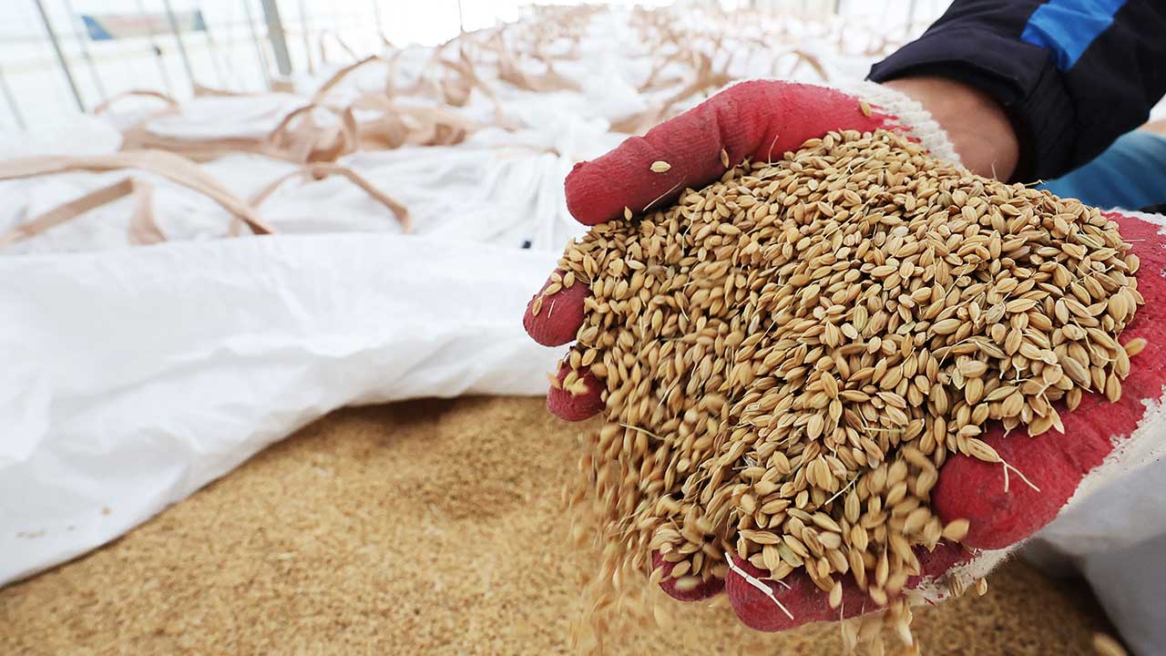 농식품부, 양곡법 등 농업 4법 개정 속도‥"효과적 대안 낼 것"