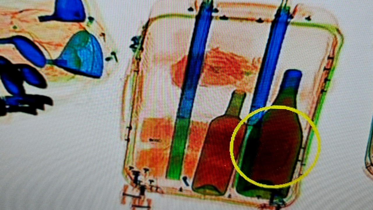 올해 상반기 2천680kg 마약 적발‥'역대 최대'