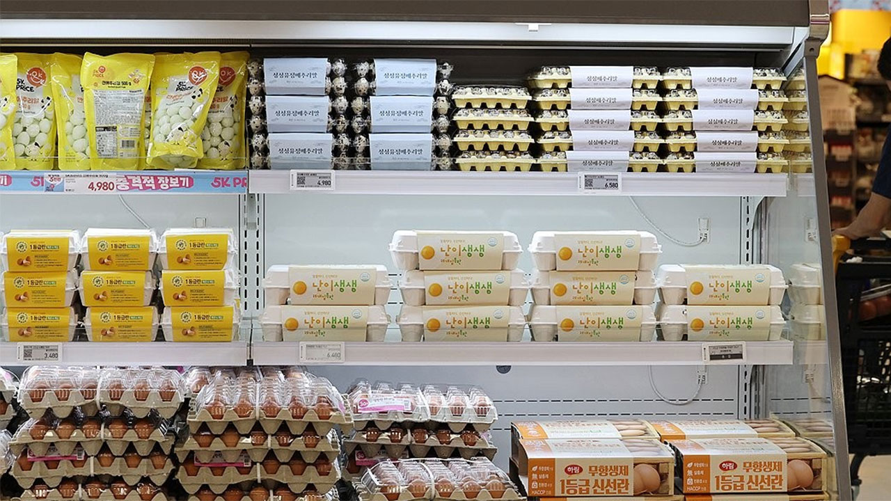 계란 한 판에 '6,900원'‥농식품부 "이번 달 중순 산지가격 추가 인하"