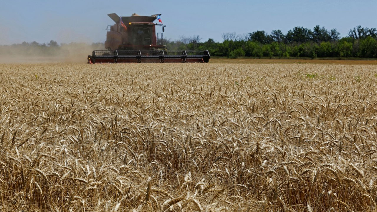 지난달 세계식량가격지수 전달과 비슷‥유지류 상승 곡물 하락
