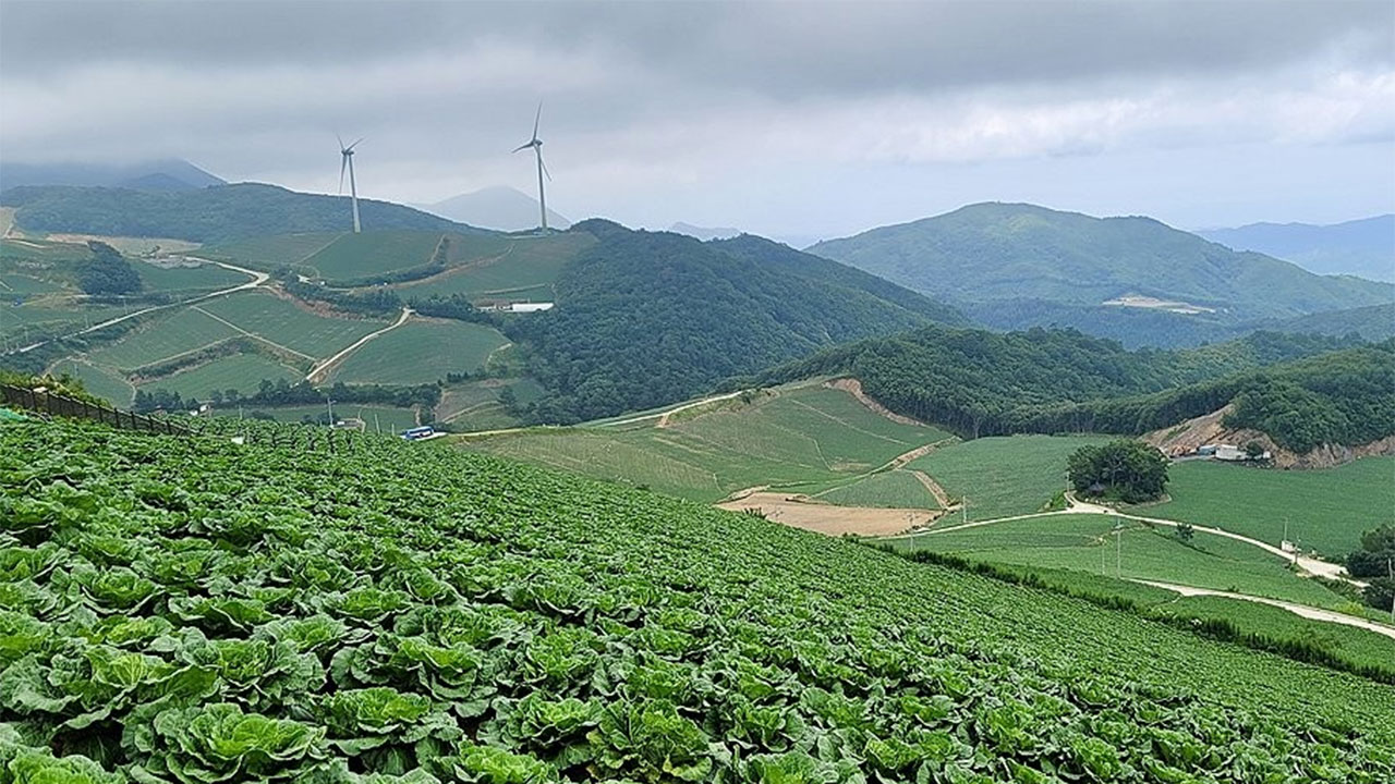 농식품부 "기후적응형 고랭지채소 개발‥과수도 가격안정제"